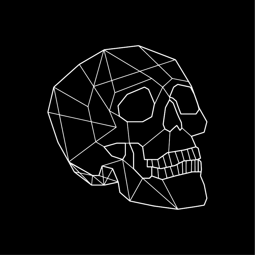 LINEAR SKULL